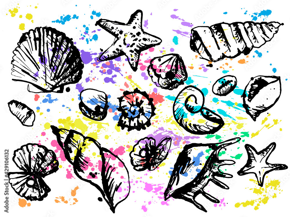 Sea Shells, Snails and Stars on a colorful abstract background with Drops and blots. The concept of Wild Underwater life with Shellfish. Vector Drawn linear illustration. Isolated elements.