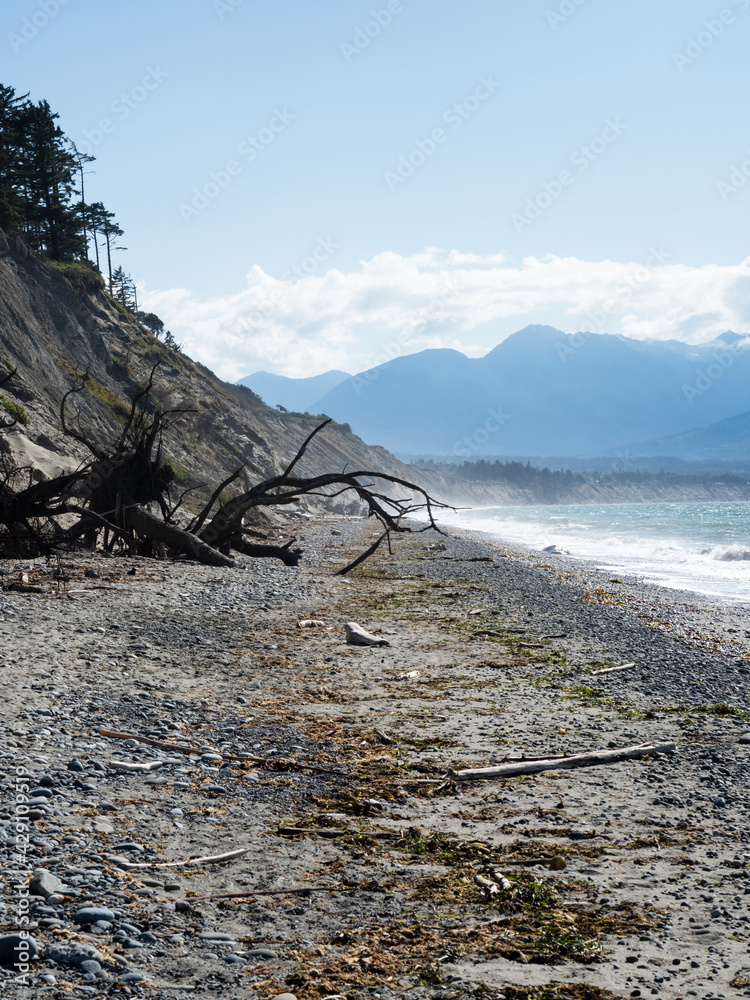 Scenic beach in Dungeness Wildlife Refuge - Olympic peninsula, Washington state
