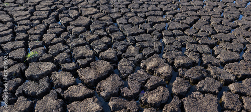 Earth cracked because of drought. The global shortage of water on the planet. Global warming concept.
