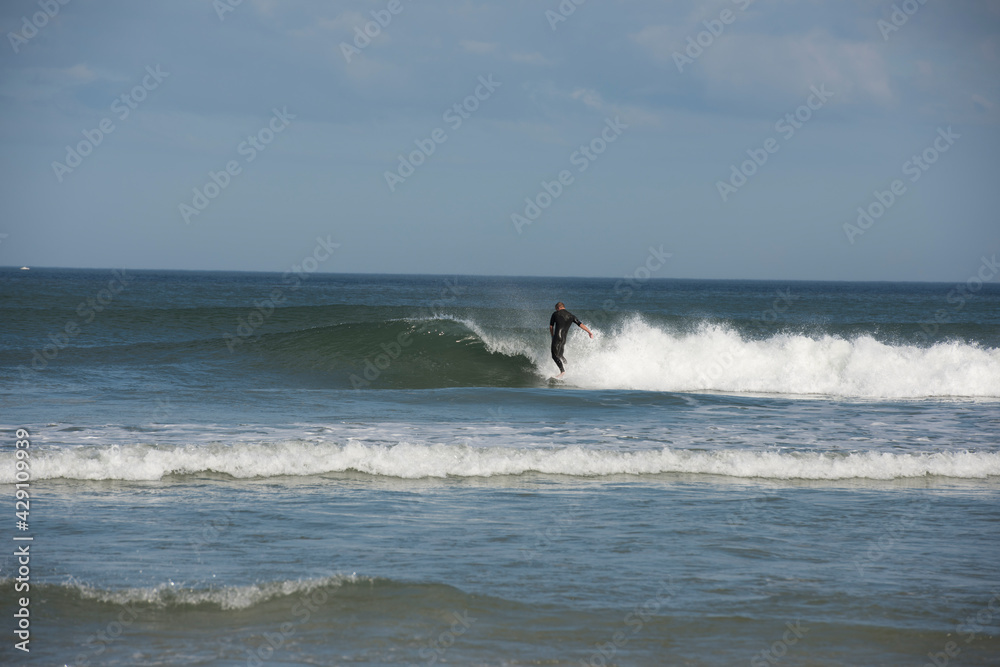 Back view of a lone male surfer wearing a black wet suit riding a breaking wave in the Atlantic Ocean near Daytona Beach, Florida, USA.
