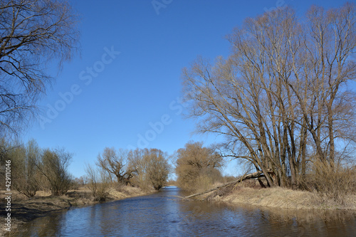 Spring landscape with a river and trees without leaves along the banks. A fallen tree in the river after a spring flood 