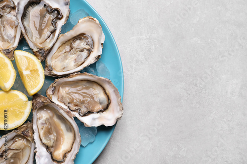 Fresh oysters with lemon on grey table, top view. Space for text photo
