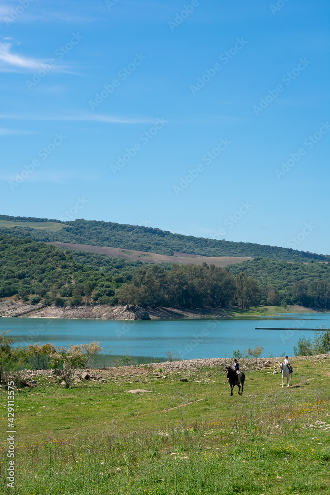 Bornos reservoir lake, Cadiz. Andalucia. España. Europa. April 18, 2021
Bornos reservoir lake, Cadiz. Andalucia. España. Europa. April 18, 2021