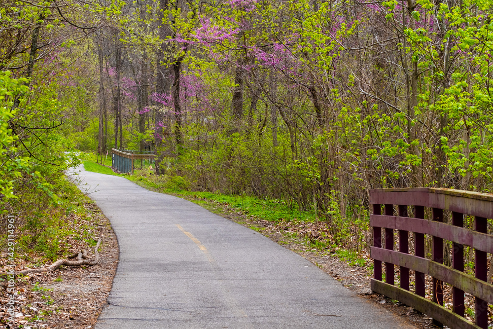 Naklejka premium Horizontal photo of a walking trail through the woods on a beautiful spring day