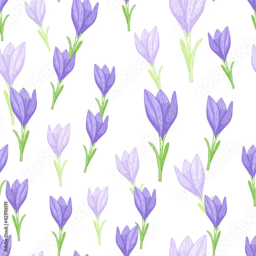 Isolated seamless pattern with hand drawn blue outline crocus flowers print. White background.