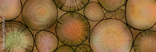 Log cut, vector banner. Tree rings pattern.