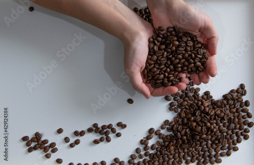 coffee beans lie on the table and in their hands