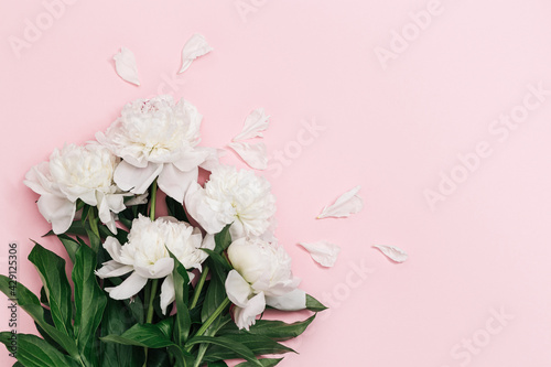 Bouquet of white peony flowers on pink background with copy space. Flowery postcard for summer holiday