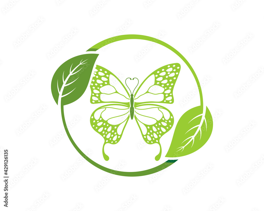 Green butterfly inside the circle green leaf Green butterfly inside the circle green leaf