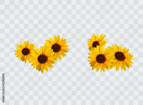 Realistic sunflower bouquet, sunflower flowers. Seasonal sales.
