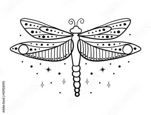 Simple linear hand drawing dragonfly. Insect with wings, boho tattoo. Vector illustration isolated on white background.
