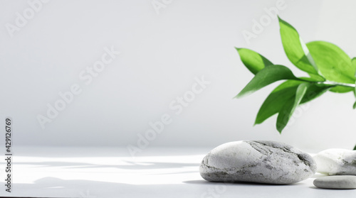Salt stones and green Leaves of riskus in the sun, with shadows, on a white gray concrete background with copy space. Advertising background concept for cosmetics, fashion, spa. Banner