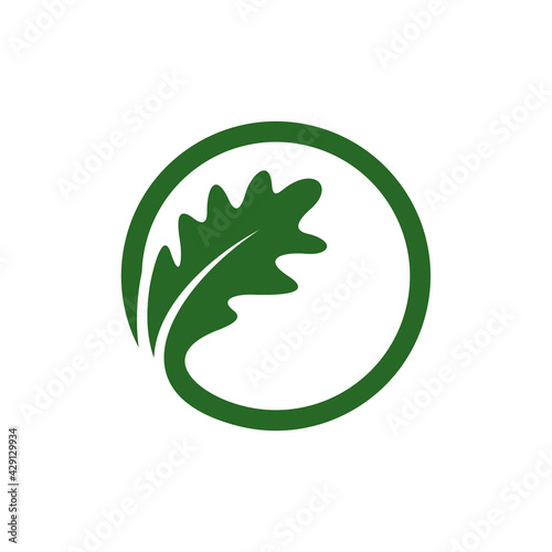Oak leaf logo design vector illustration, Creative oak tree logo design concept template, symbols icons
