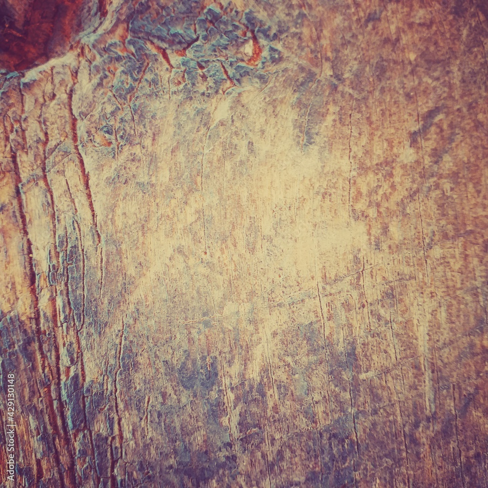 Natural Background Vintage Backdrop