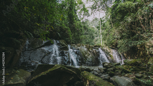 Waterfall in the middle of the forest 