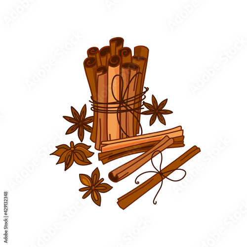 Cinnamon sticks on a white background. Aromatic spice. Seasoning for dishes. Culinary theme. Vector design.