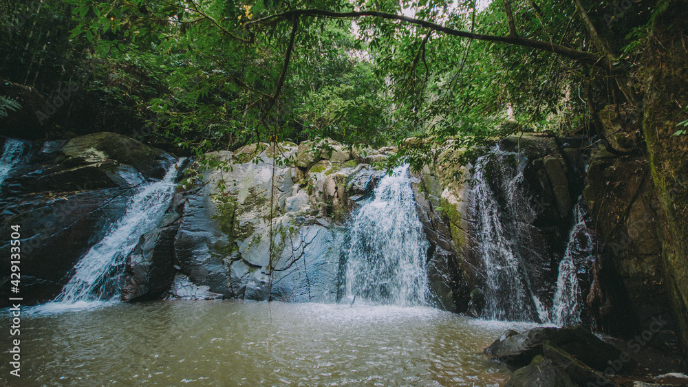 Naklejka premium Waterfall in the middle of the forest