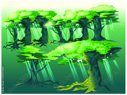 mysterious forest