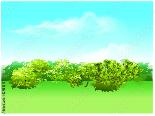 a field that forest is behind under the blue sky vector 