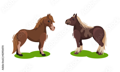 Horse with Crest Grazing on Green Field Vector Set
