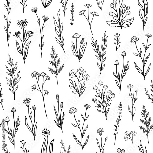 Wildflower seamless pattern with outline florals. Retro style print design with hand drawn doodle flowers in black and white colors. Simple field floral patterns for packaging, fabric design