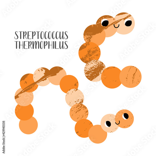 Streptococcus thermophilus, salivarius. Cute lactic acid bacteria character. Probiotics. Good kawaii microorganism for gut, intestinal flora health. Microflora. Vector flat cartoon illustration