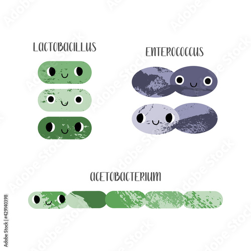 Lactobacillus, Enterococcus, Acetobacterium. Cute lactic acid bacteria character. Probiotics. Good kawaii microorganism for gut, intestinal flora health. Microflora. Vector flat cartoon illustration