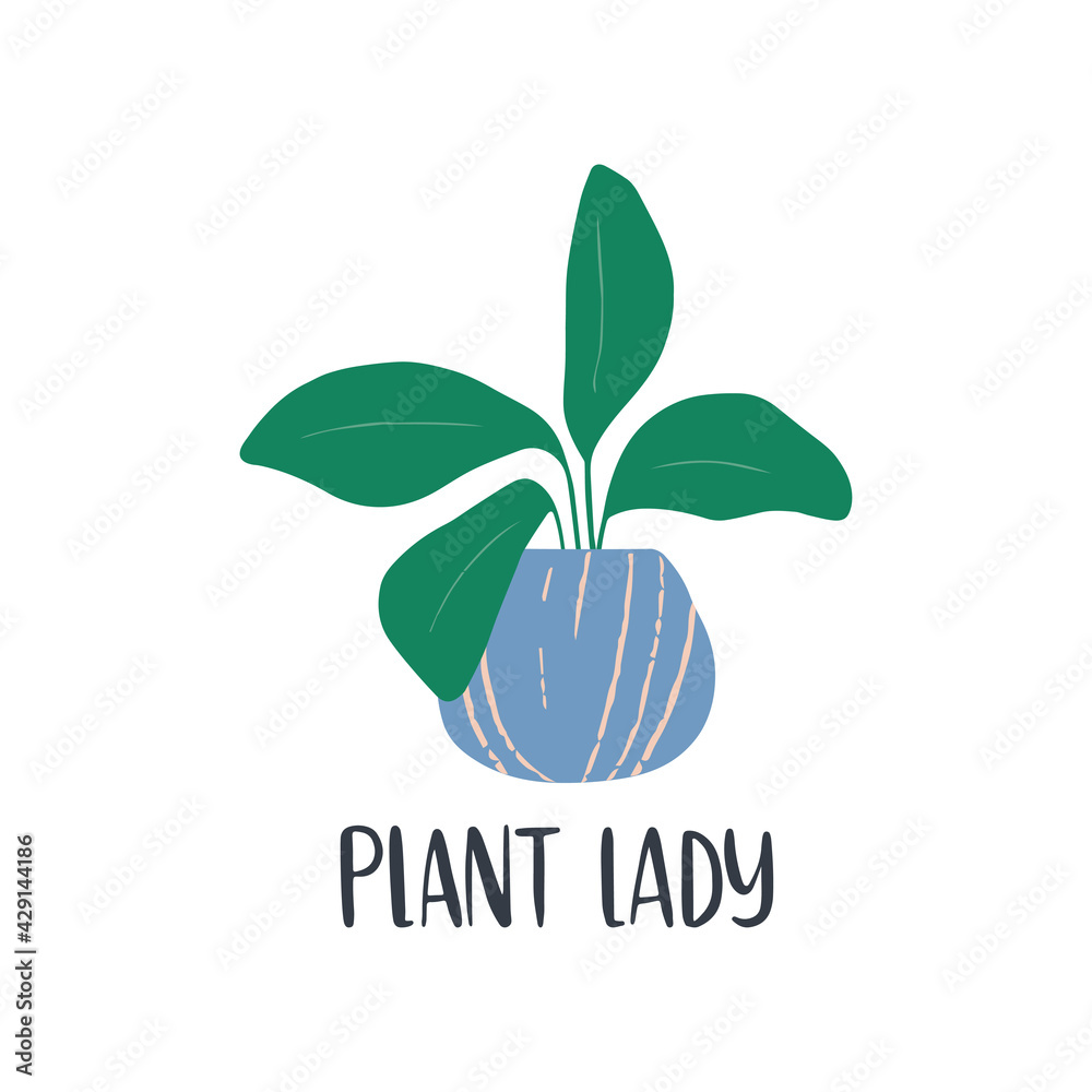 Hand-drawn house plant. Trendy cozy home decor. Urban jungle vector cartoon illustration. Modern potted plant ficus in Scandinavian style for print, poster. Plant lady lettering. Hand-drawn house plant. Trendy cozy home decor. Urban jungle vector cartoon illustration. Modern potted plant ficus in Scandinavian style for print, poster. Plant lady lettering.