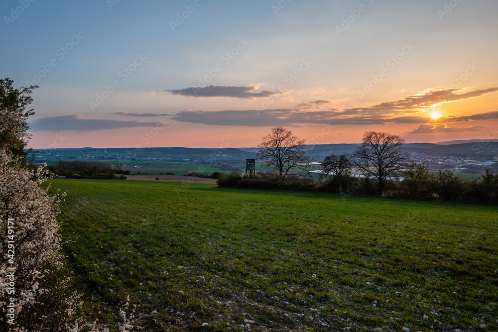 sunset in the field