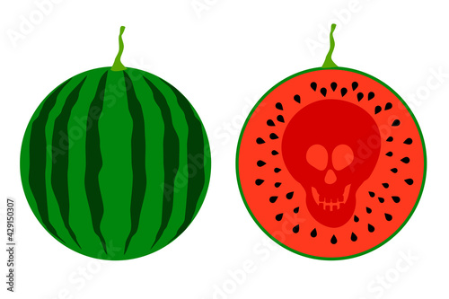 dangerous ripe watermelon with a skull on it, the concept of the dangers of chemical additives and pesticides in fruit growing