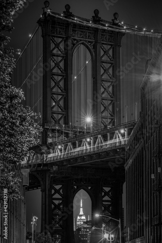 Dumbo View New-York © Dario
