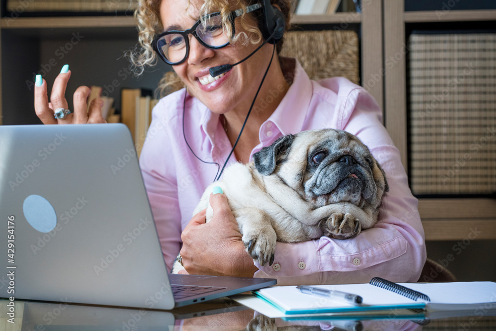 Bulldog On Computer Meme