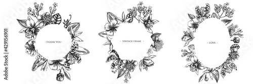 Floral frames with black and white laelia, feijoa flowers, glory bush, papilio torquatus, cinchona, cattleya aclandiae