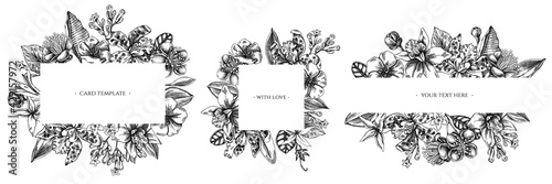 Floral frames with black and white laelia, feijoa flowers, glory bush, papilio torquatus, cinchona, cattleya aclandiae