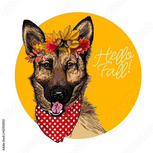 Vector portrait of german shepherd dog wearing autumn leaves crown. Hello fall illustration. Oak, maple, chestnut, rowen. Hand drawn pet portait. Poster, t-shirt print, postcard, seasonal greeting.