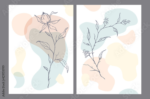 elegant minimalist invitation templates backgrounds, cards with modern abstract organic wavy shapes and outlined floral elements in pastel color palette