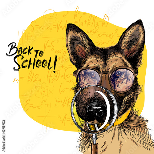 Vector portrait of german shepherd dog with magnifying glass and big nose reflection. Back to school illustration. Math formulas on background. Hand drawn pet portait. Study poster, student cartoon.