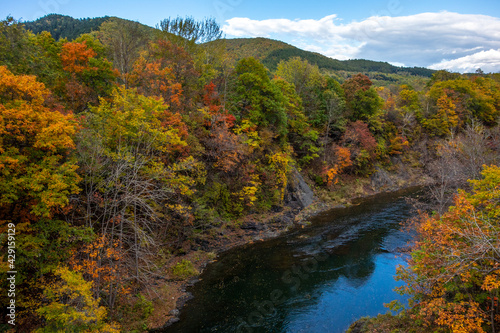 秋の滝上町錦仙峡の紅葉