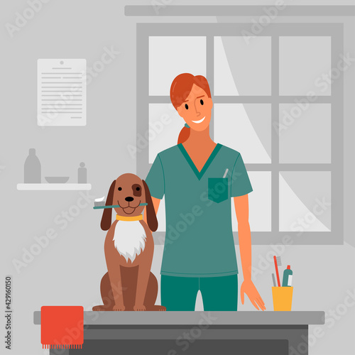 Dog brushing in the salon.