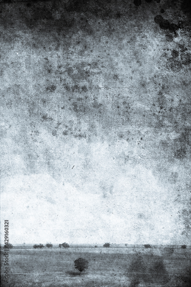 Obraz premium Tree in the summer field. Photo in old image style.