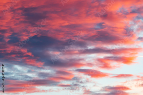 sunset sky as background © studybos