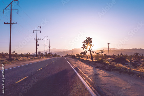 Route du désert américian au soleil couchant