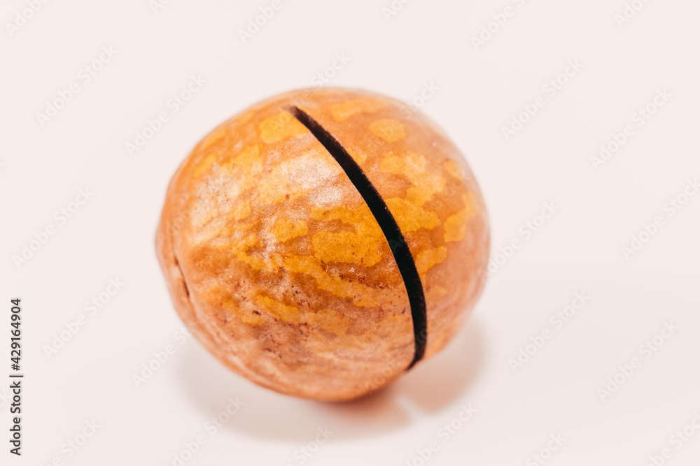 Fototapeta premium Nut. Nut in a macadamia shell.