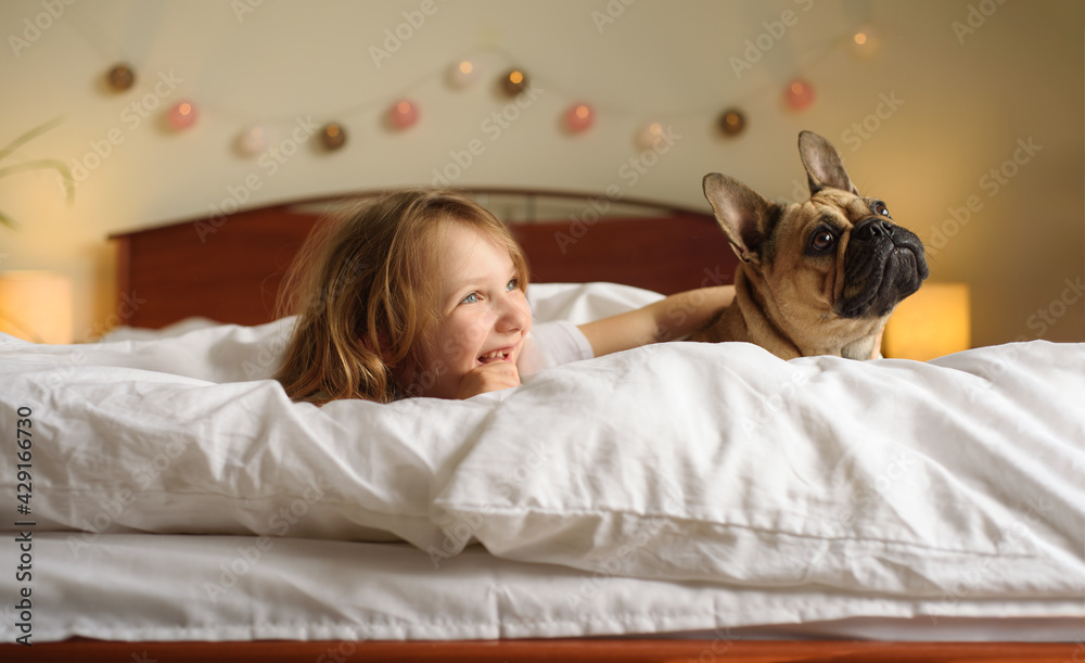 A girl and a French Bulldog puppy lie on the bed under the covers and look towards the window. Friendship and pet care. Communication of children with animals A girl and a French Bulldog puppy lie on the bed under the covers and look towards the window. Friendship and pet care. Communication of children with animals