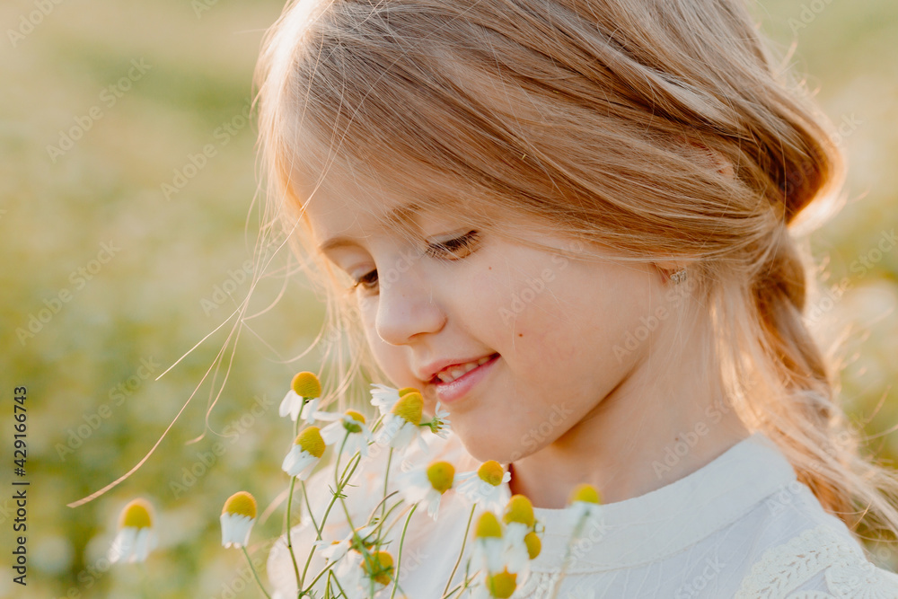 Happy little blonde girl sniffs a bunch of daisies in summer at sunset Happy little blonde girl sniffs a bunch of daisies in summer at sunset