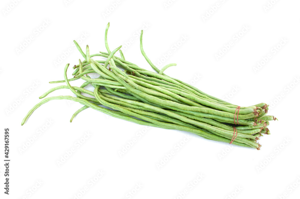 Fresh string beans bundle in a bundle isolated on white background. Fresh string beans bundle in a bundle isolated on white background.