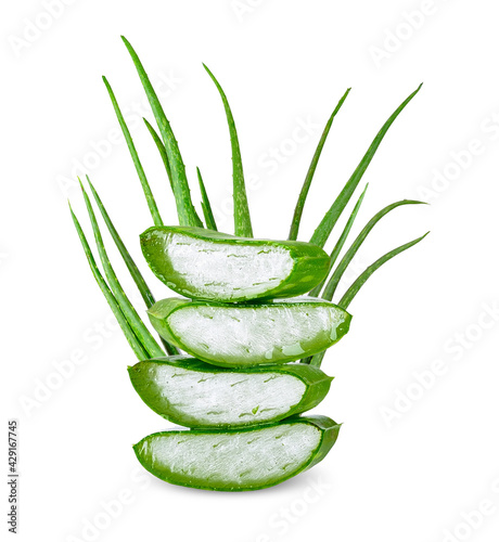 Aloe vera isolated on white clipping path
