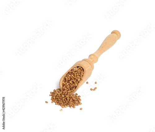 raw buckwheat grains in wooden spoon isolated on white background