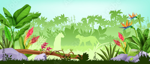 Jungle background, tropical rainforest landscape, exotic wood vector view, green leaves, palm trees, flowers. Wild life nature environment banner, leopard silhouette. Jungle background, grass, stone