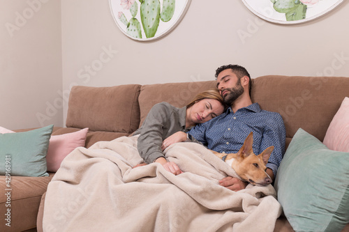 couple and their dog asleep, the man, the woman and the dog have fallen asleep sitting on a brown sofa and covered with a blanket